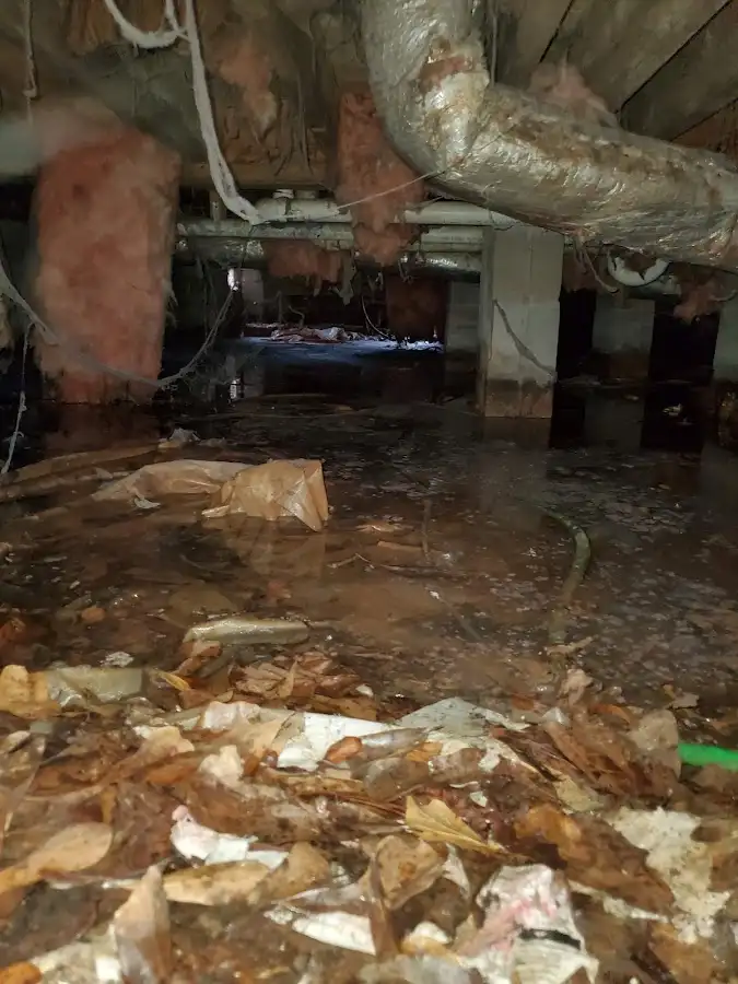 Crawl space flood assessment for Leak Detection & Repair in Halawa