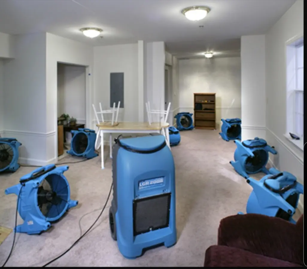 Air movers and dehumidifier setup for Water Extraction & Removal in Halawa