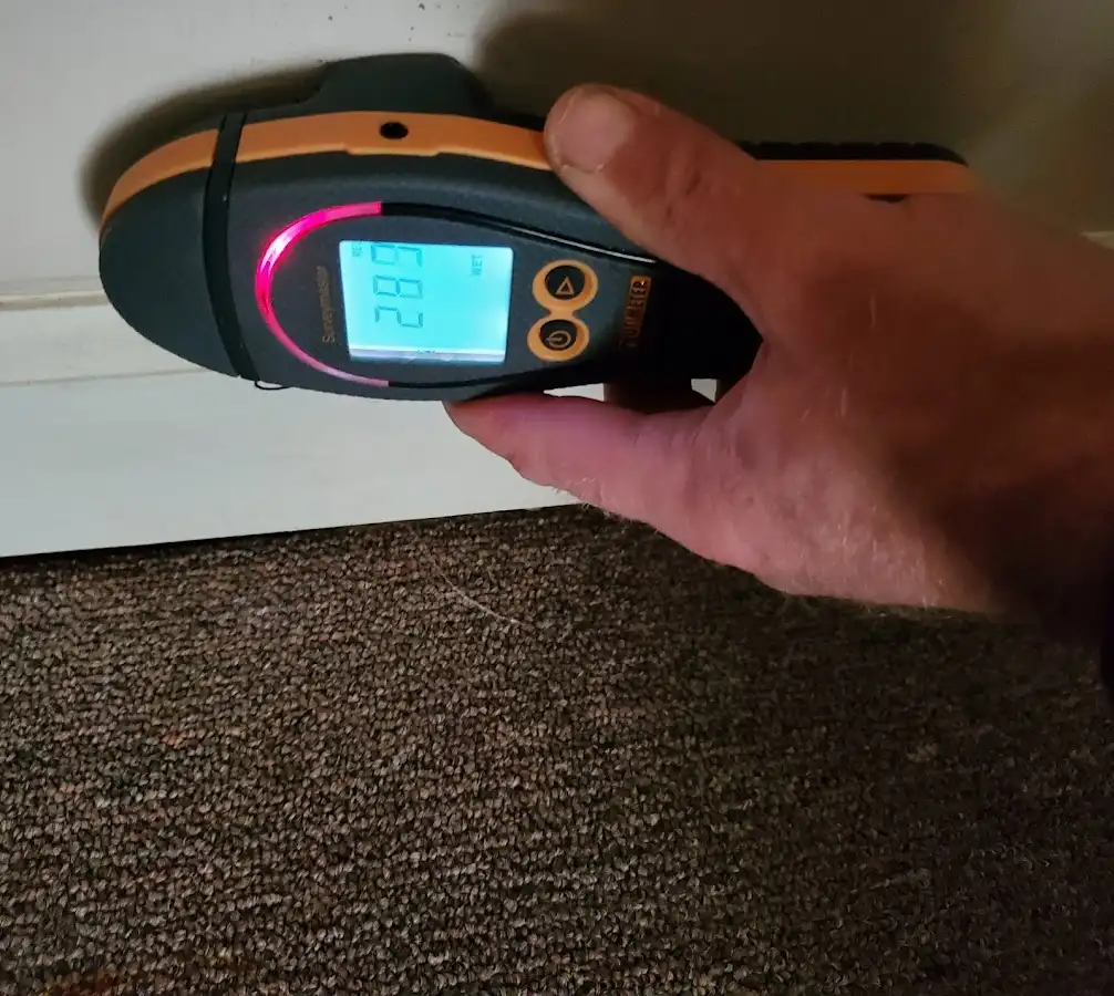 Moisture detection at baseboard during Sewage Cleanup & Sanitation in Halawa